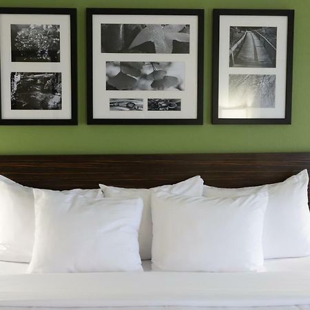 Sleep Inn & Suites Belmont - St. Clairsville Dış mekan fotoğraf
